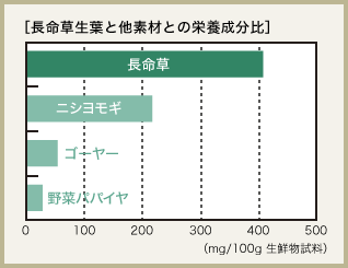 長命草生葉と他素材との栄養成分比