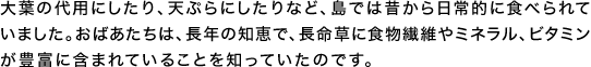 大葉の代用にしたり、天ぷらにしたりなど、島では昔から日常的に食べられていました。おばあたちは、長年の知恵で、長命草に食物繊維やミネラル、ビタミンが豊富に含まれていることを知っていたのです。