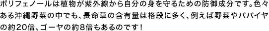 ポリフェノールは植物が紫外線から自分の身を守るための防御成分です。色々ある沖縄野菜の中でも、長命草の含有量は格段に多く、例えば野菜やパパイヤの約20倍、ゴーヤの約8倍もあるのです！