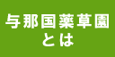 与那国薬草園とは