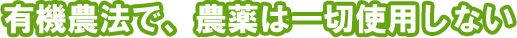 有機農法で、農薬は一切使用しない