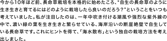 今から10年ほど前、長命草栽培を本格的に始めたころ、「自生の長命草のように生き生きと育てるにはどのように栽培したら良いのだろう？」ということをいつも考えていました。私が注目したのは、一年中吹き付ける潮風や強烈な紫外線の中で、濃い緑の葉を生き生きと繁らせている、海岸沿いの断崖絶壁で自生している長命草です。これにヒントを得て、「海水散布」という独自の栽培方法を考え出しました。