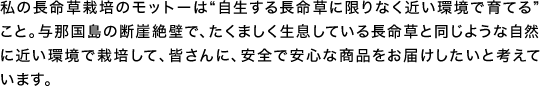 私の長命草栽培のモットーは「自生する長命草に限りなく近い環境で育てる」こと。与那国島の断崖絶壁で、たくましく生息している長命草と同じような自然に近い環境で栽培して、皆さんに、安全で安心な商品をお届けしたいと考えています。